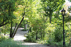6月のハーブ庭園 旅日記 勝沼庭園の写真12