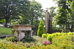 7月のハーブ庭園 旅日記 勝沼庭園の写真11